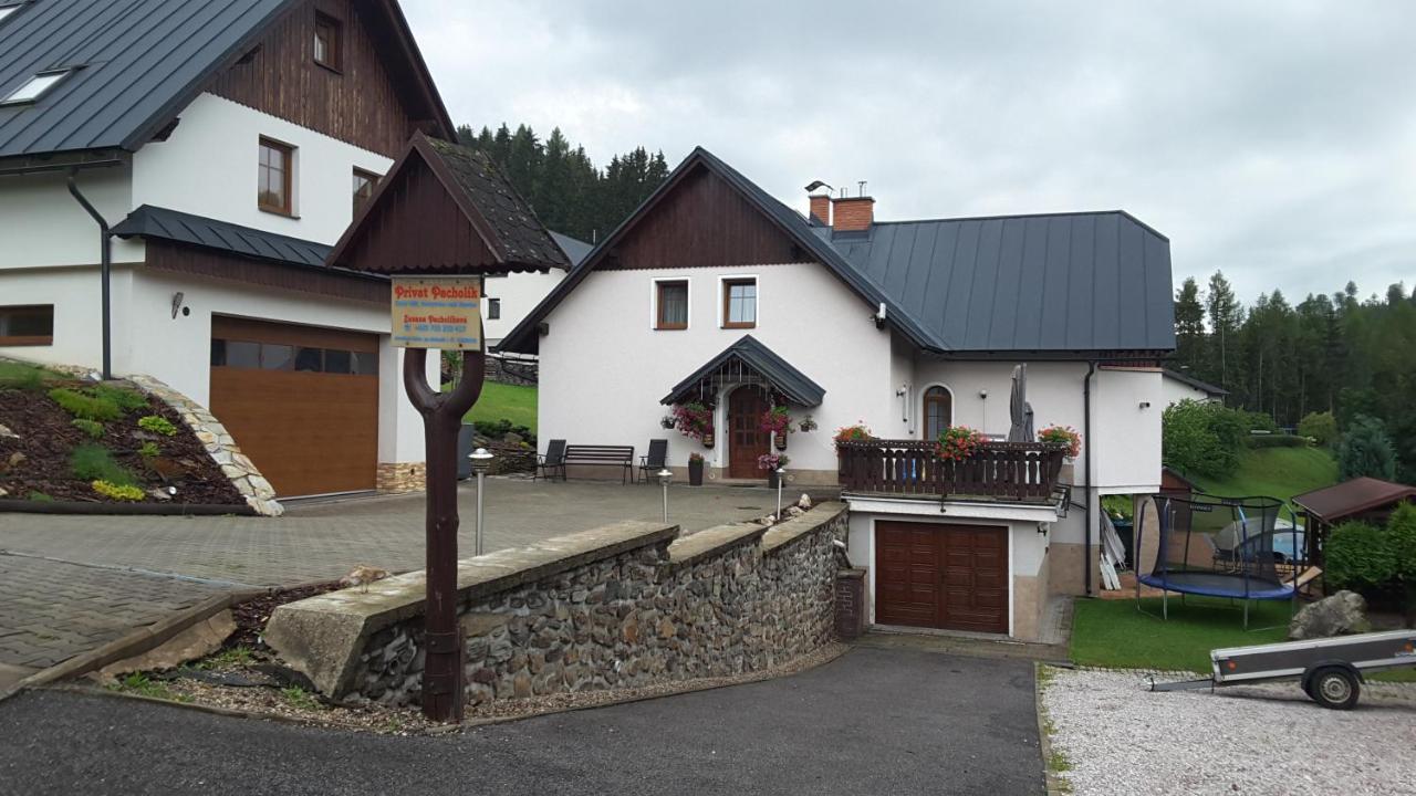 - Privat Pacholik Rokytnice nad Jizerou